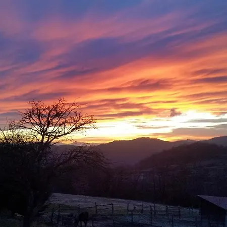 La Quiete Tra Le Colline Bed and Breakfast Dego